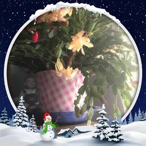 Meet your Posher, Kathi